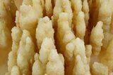 Alluring, Calcite/Aragonite Stalactite Formation - China #377337-5